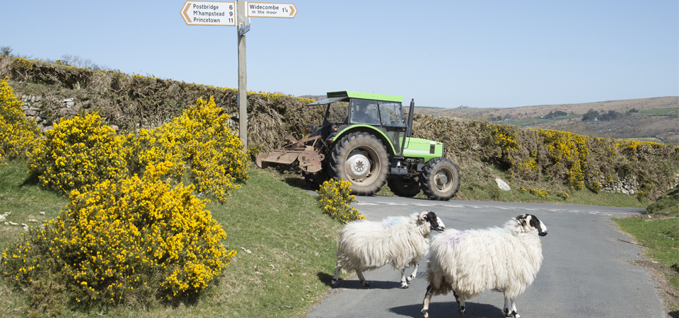 Rural Roads